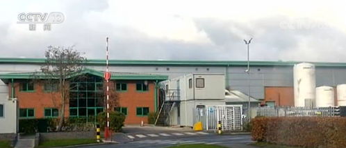 英国多家食品加工厂相继暴发疫情，家禽产业遭遇严峻挑战