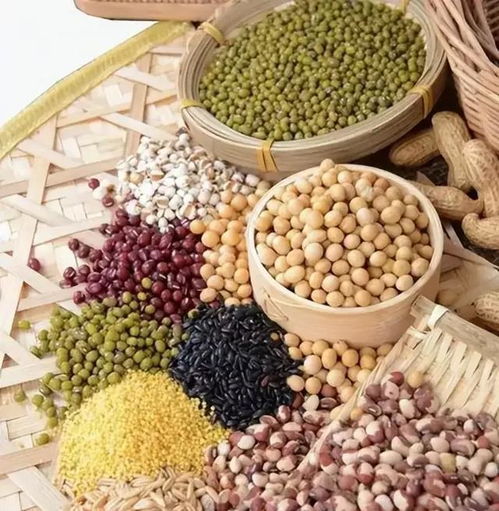 转基因作物 在食品安全与产量提升的十字路口