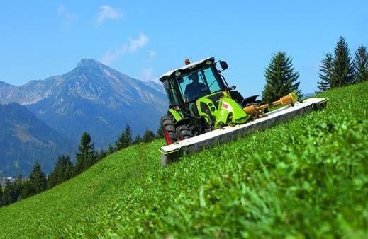 乡愁的根，在乡村振兴的枝头绽放