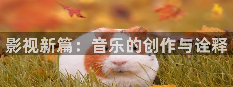 影视新篇：音乐的创作与诠释