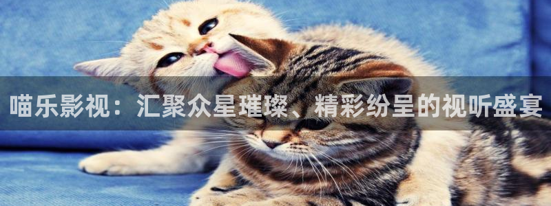 喵乐影视：汇聚众星璀璨、精彩纷呈的视听盛宴