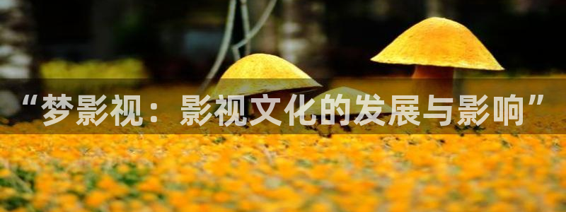 “梦影视：影视文化的发展与影响”