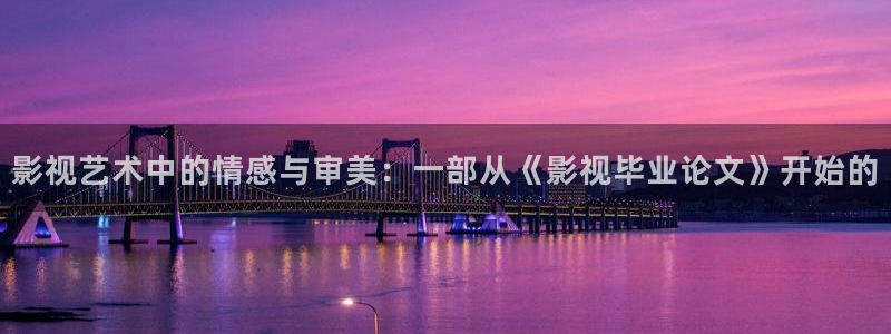 影视艺术中的情感与审美：一部从《影视毕业论文》开始的