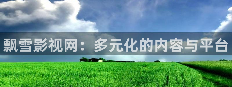 飘雪影视网：多元化的内容与平台
