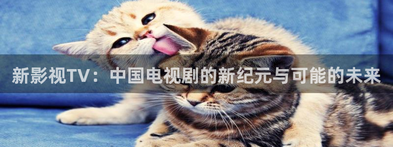 新影视TV：中国电视剧的新纪元与可能的未来