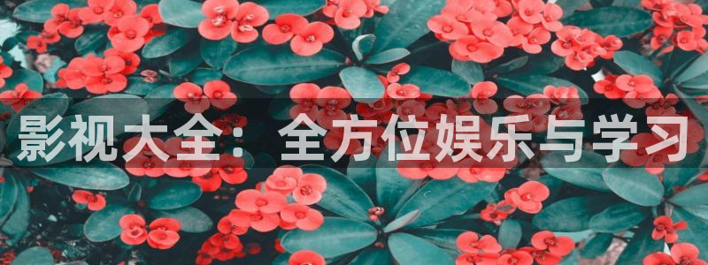 影视大全：全方位娱乐与学习
