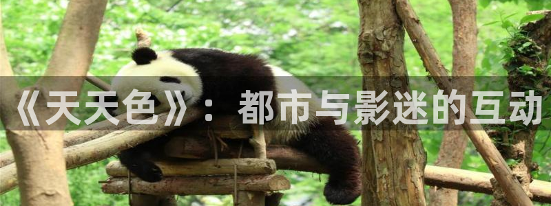 《天天色》：都市与影迷的互动