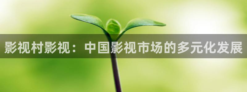 影视村影视：中国影视市场的多元化发展