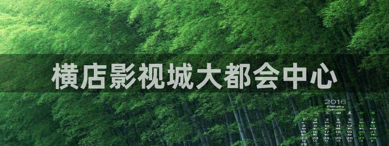 横店影视城大都会中心