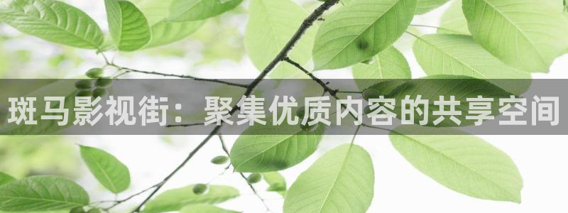 斑马影视街：聚集优质内容的共享空间