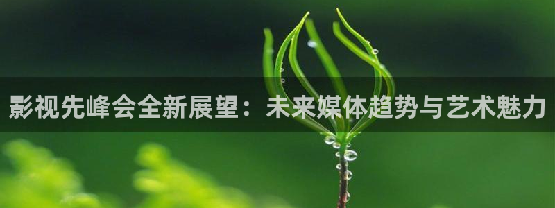 影视先峰会全新展望：未来媒体趋势与艺术魅力