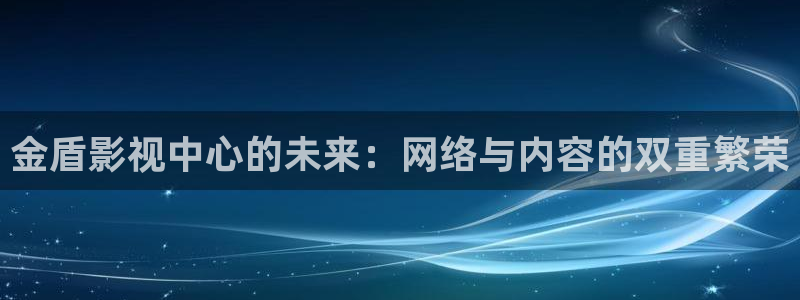 金盾影视中心的未来：网络与内容的双重繁荣