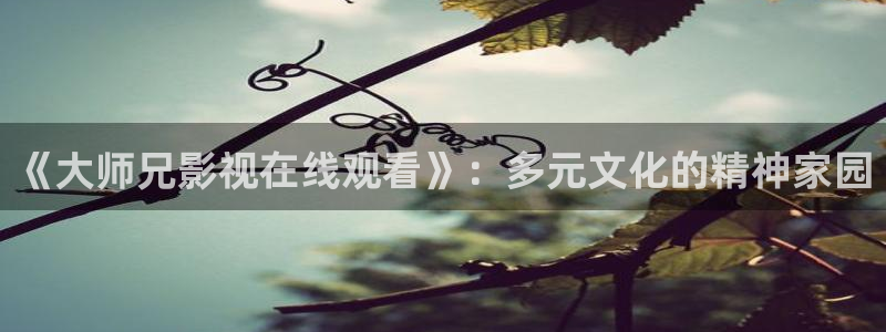 《大师兄影视在线观看》：多元文化的精神家园