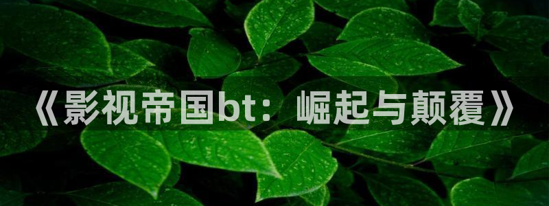 《影视帝国bt：崛起与颠覆》